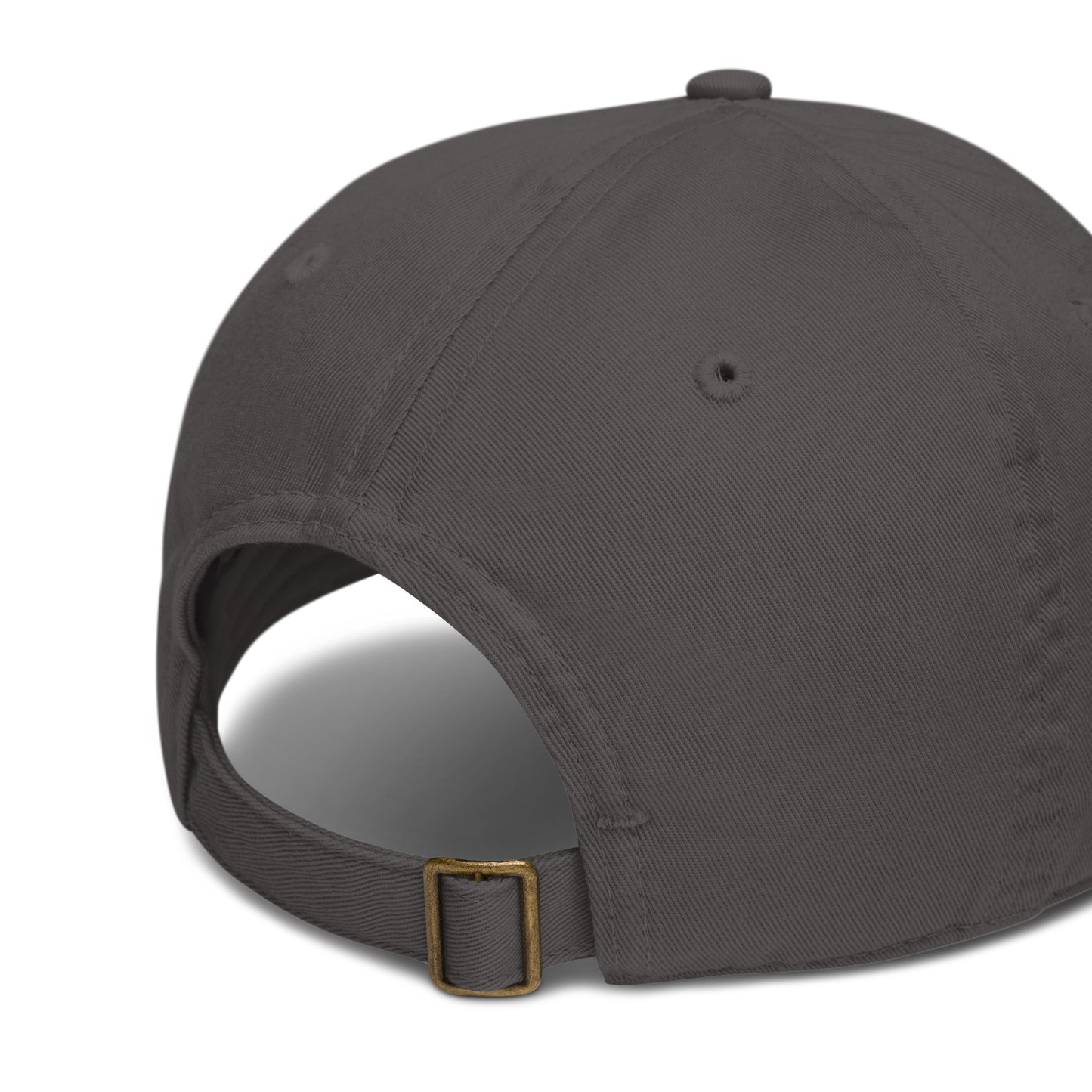 True Hustler - Organic Cap