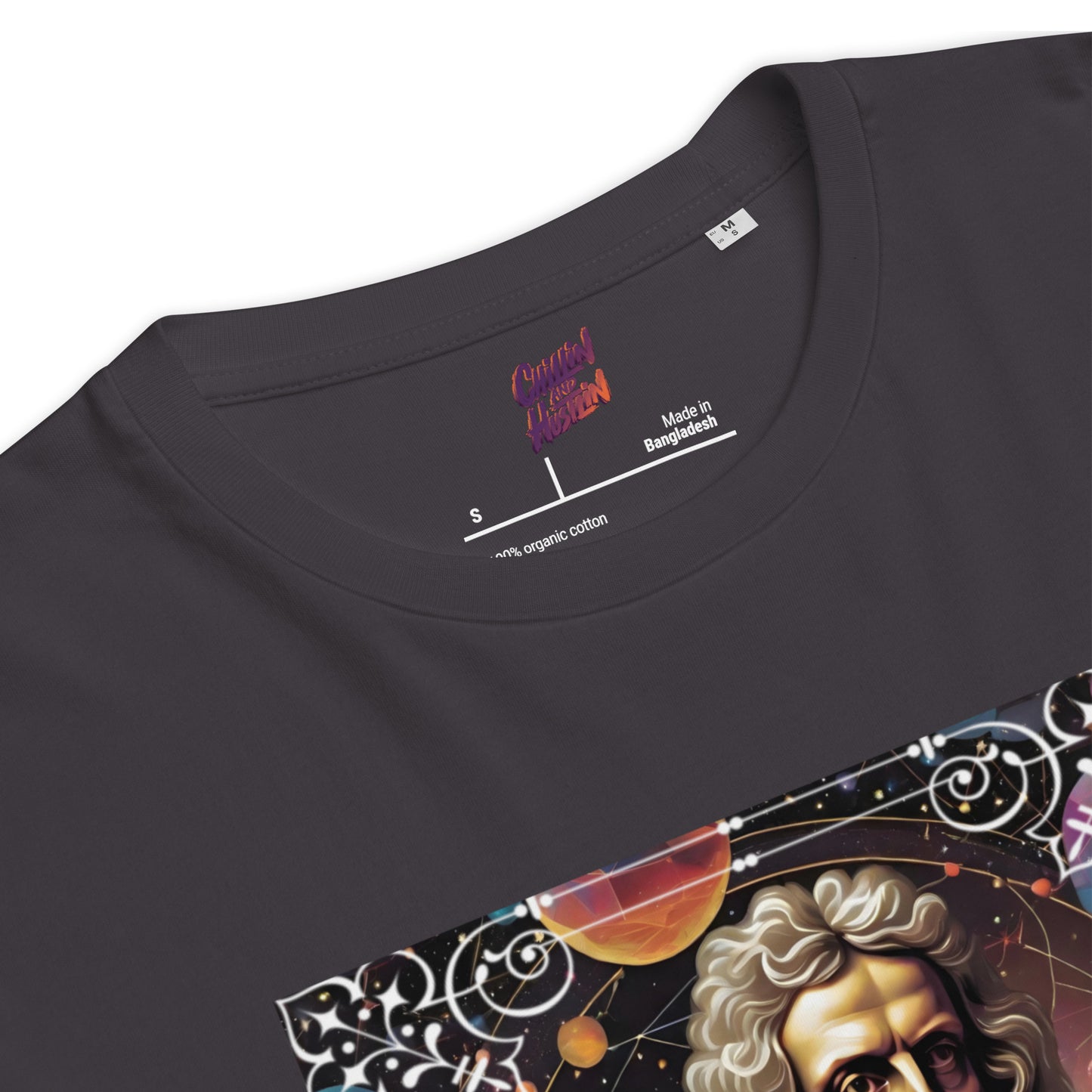 Sir Isaac Newton Premium Organic Cosy T-Shirt - Dark Colours
