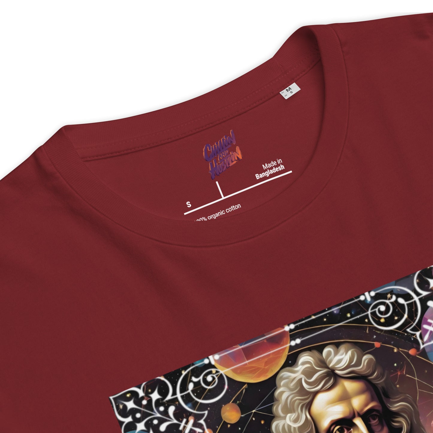 Sir Isaac Newton Premium Organic Cosy T-Shirt - Dark Colours