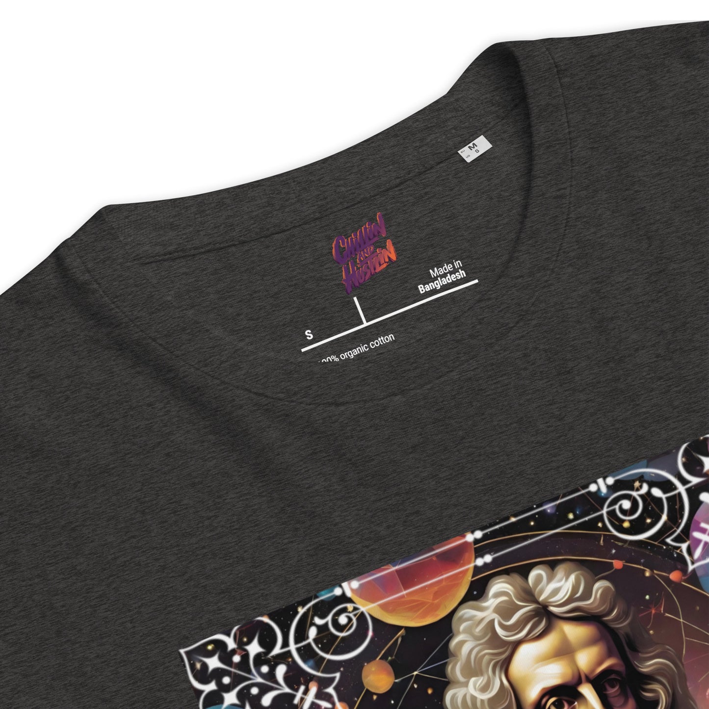 Sir Isaac Newton Premium Organic Cosy T-Shirt - Dark Colours